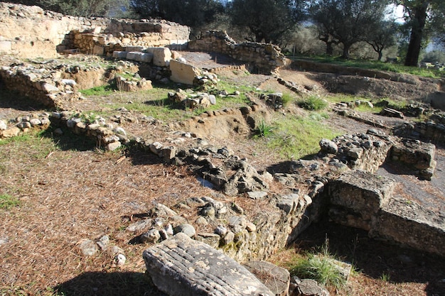 Ruines de l'ancienne Sparte