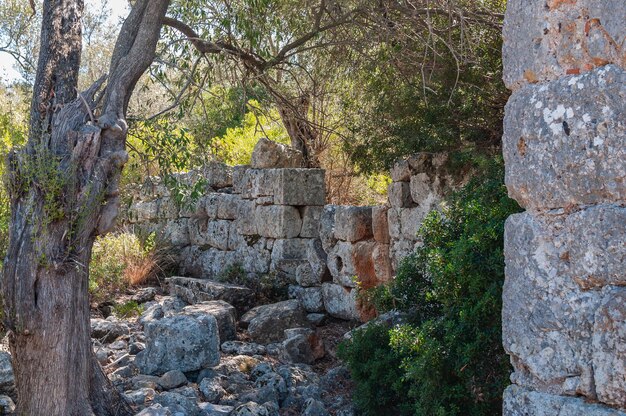 Les ruines de l'ancienne ville de Kedrai sur l'île de Cléopâtre