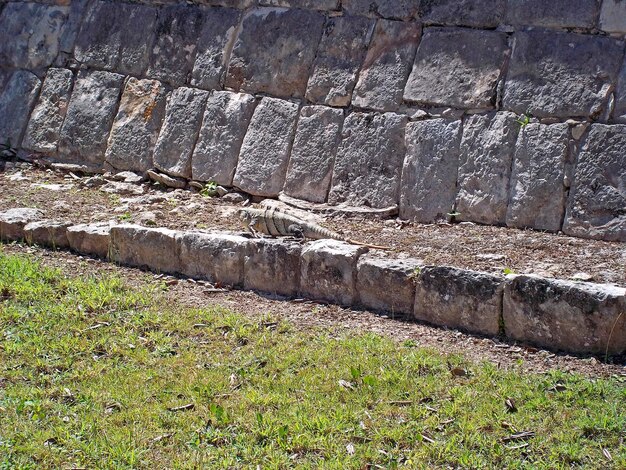 Ruines antiques de Maya Chichen Itza Yucatan Mexique