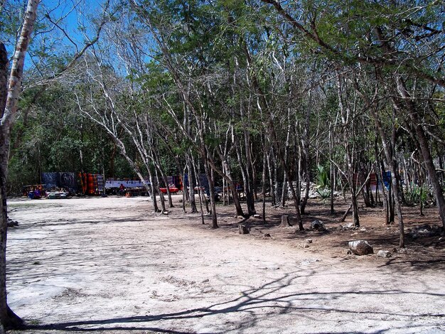 Ruines antiques de Maya Chichen Itza Yucatan Mexique