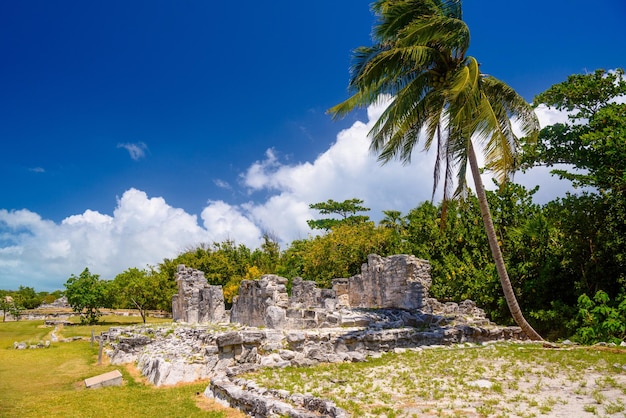 Ruines antiques de Maya dans la zone archéologique d'El Rey près de Cancun Yukatan Mexique