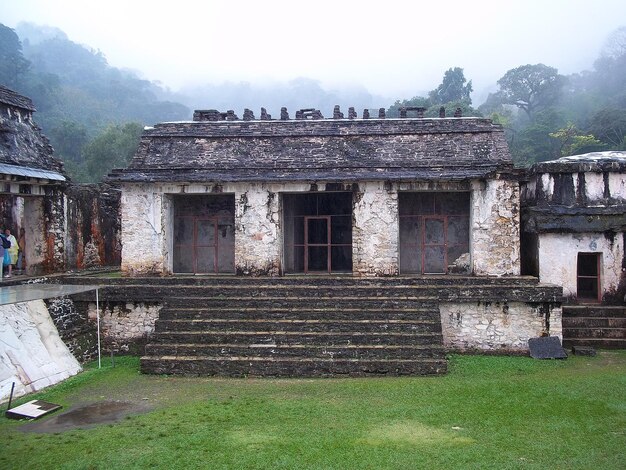 Ruines antiques de Maya Palenque Mexique