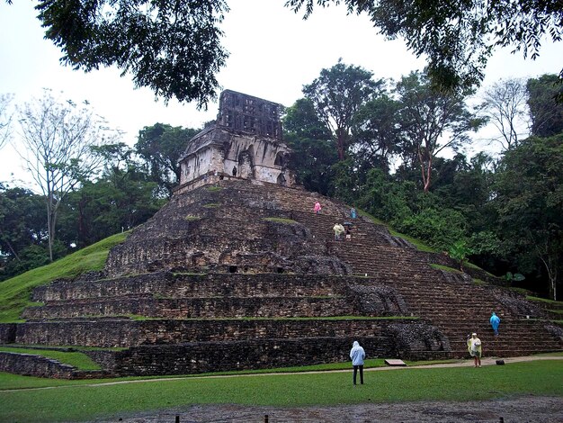 Ruines antiques de Maya Palenque Mexique