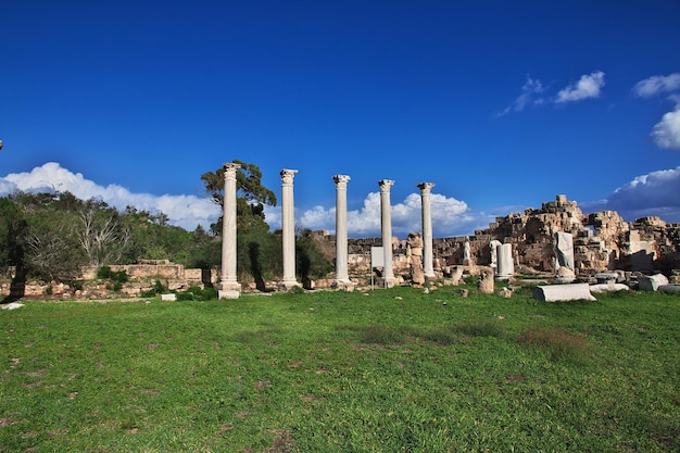 Ruines antiques Salamine, Chypre du Nord