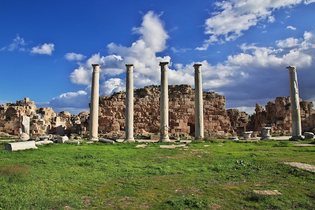 Ruines antiques Salamine, Chypre du Nord