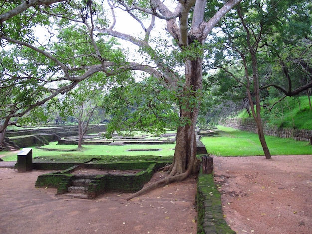 Ruines antiques de Sigiriya, Sri Lanka