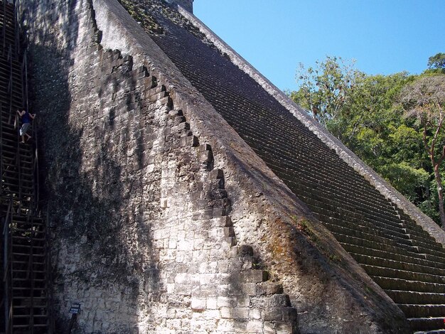 Ruines antiques de Tikal, Guatemala