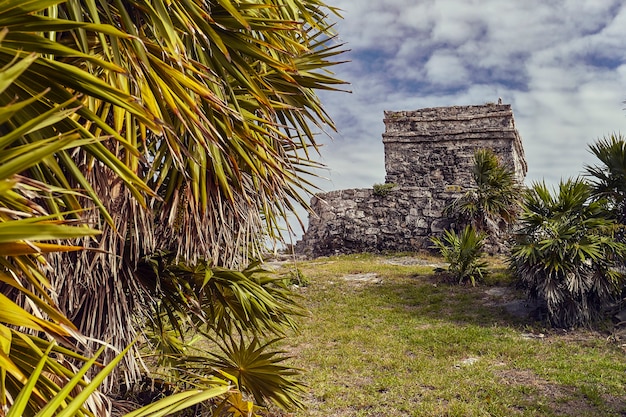 Ruines de bâtiments mayas immergés dans un pré vert : vue sur certaines parties du complexe maya de Tulum au Mexique