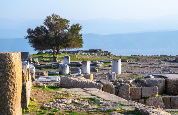 Ruines de colonnes dans l'ancienne ville de Pergamon par une journée ensoleillée Bergama Turquie