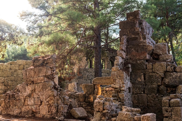 Ruines du bâtiment antique parmi la forêt dans la ville antique de Phaselis