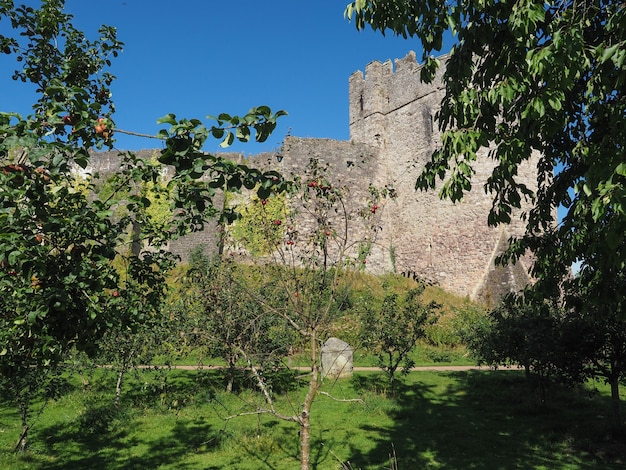 Ruines du château de Chepstow à Chepstow