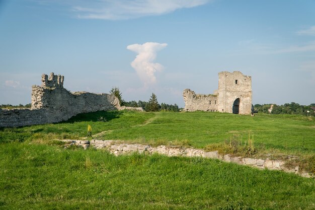 Ruines du château de Kremenets situé au sommet d'une colline dans la ville de Kremenets région de Ternopil Ukraine