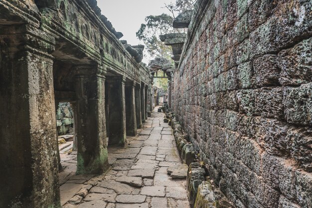 Ruines du temple abandonné - Angkor Wat