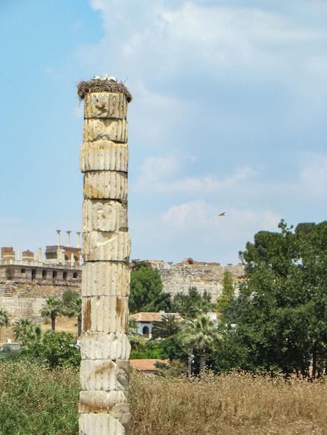 Ruines du temple d'Aphrodite l'une des sept merveilles du monde Turquie