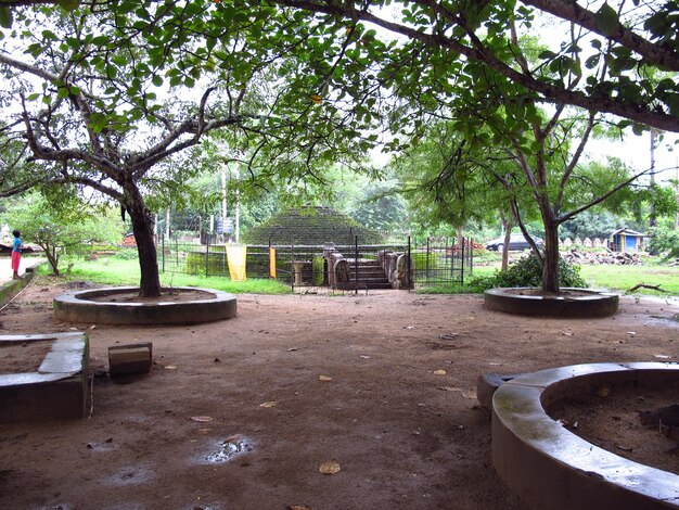 Ruines d'époque à Anuradhapura, Sri Lanka