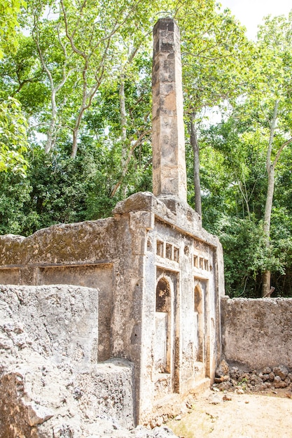 Les ruines de Gede au Kenya sont les vestiges d'une ville swahili, typique de la plupart des villes de la côte est-africaine