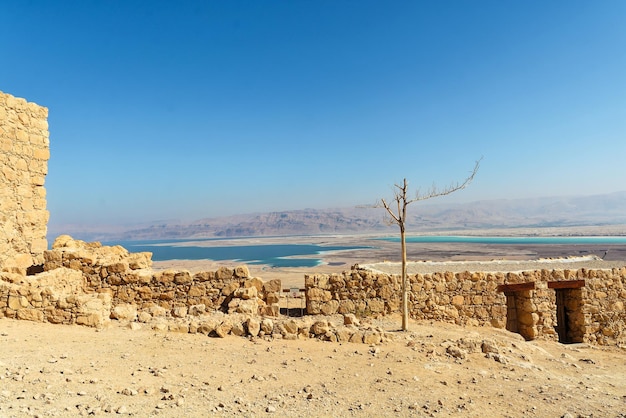 Ruines de Massada