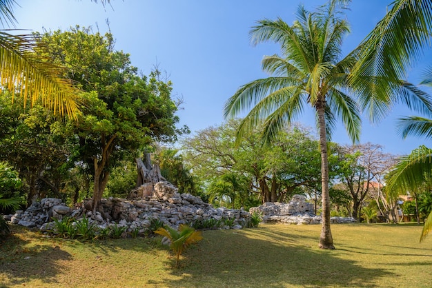 Ruines mayas de Playacar dans le parc forestier de Playa del Carmen Yucatan Mexique