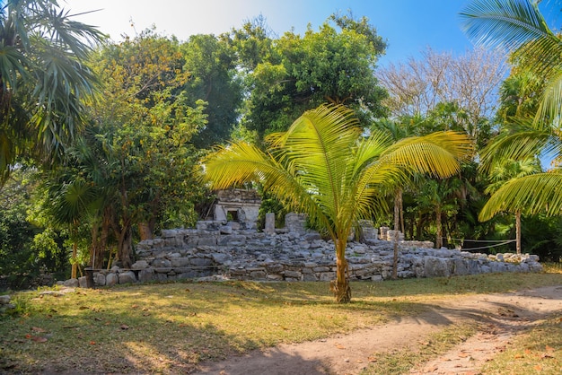 Ruines mayas de Playacar dans le parc forestier de Playa del Carmen Yucatan Mexique