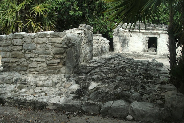 Photo ruines mayas de tulum au mexique