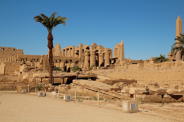 Ruines de pharaons et de palmiers à Louxor.