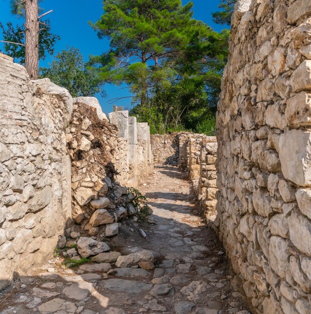 Les ruines pittoresques de l'ancienne ville d'Olympos, en Turquie