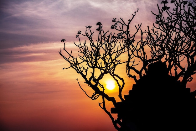 Ruines et silhouette d'arbre à Hampi