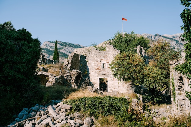 Les ruines de vieux bâtiments dans le vieux bar monténégro