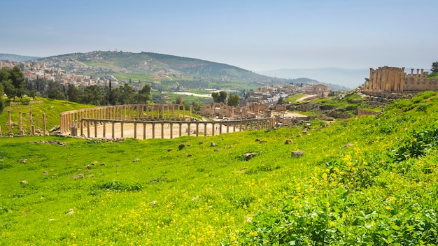 Ruines de la ville antique de Jerash en Jordanie sur une journée de printemps ensoleillée sur un pré vert