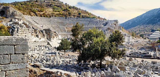 Ruines de la ville antique d'Éphèse en Turquie entourées par la nature Attraction touristique populaire ou visite des vestiges d'un bâtiment en pierre historique bien conservé de l'histoire classique grecque et romaine