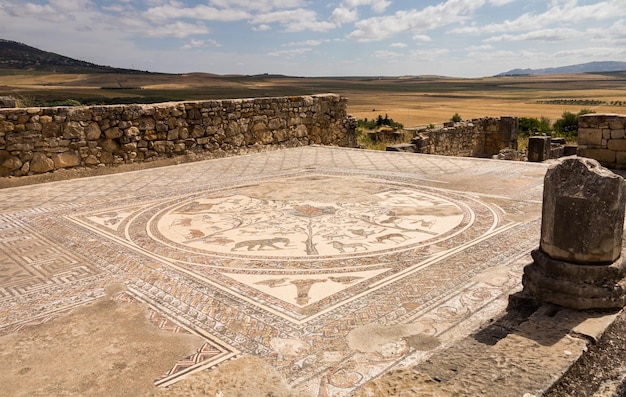 Ruines de Volubilis Maroc