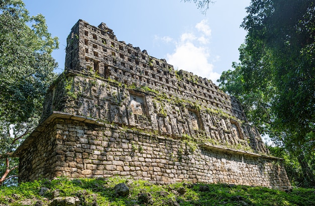 Photo ruines de yaxchilan sur le site archéologique maya