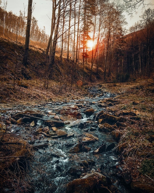 Ruisseau au coucher du soleil