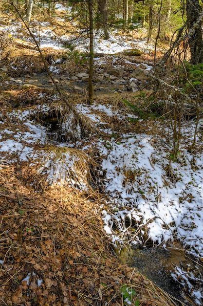 Ruisseau brut de l'oural du sud avec une végétation paysagère unique et une diversité de la nature au printemps