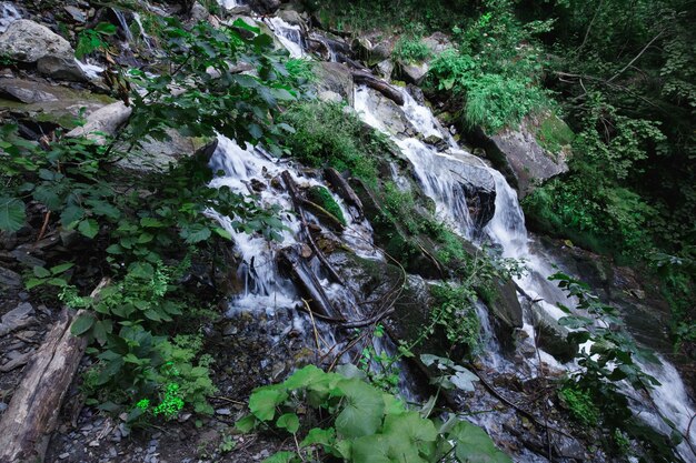 Ruisseau en cascade dans la forêt de montagne, longue exposition