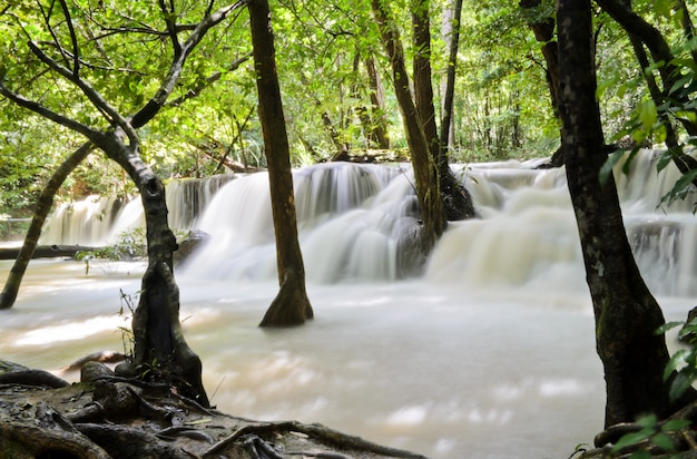 Ruisseau cascade dans la forêt tropicale, Thaïlande