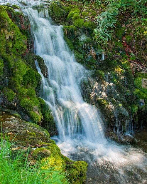 Ruisseau et cascade dans la nature