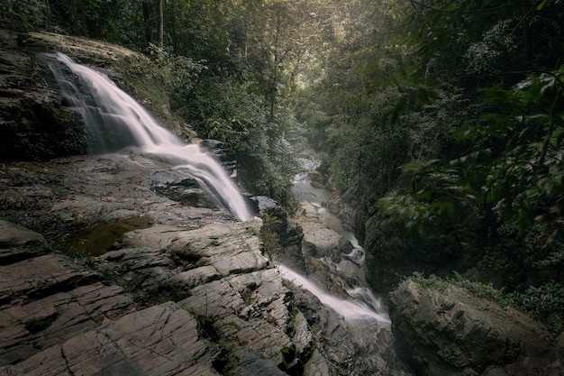 Le ruisseau de la cascade floue tombe dans la montagne escarpée et disparaît dans la gorge profonde Samui Thaïlande