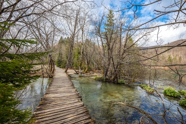 Ruisseau et chemin en bois