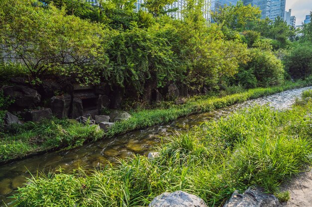 Photo le ruisseau cheonggyecheon à séoul en corée le ruisseau cheonggyecheon est le résultat d'un renouvellement urbain massif