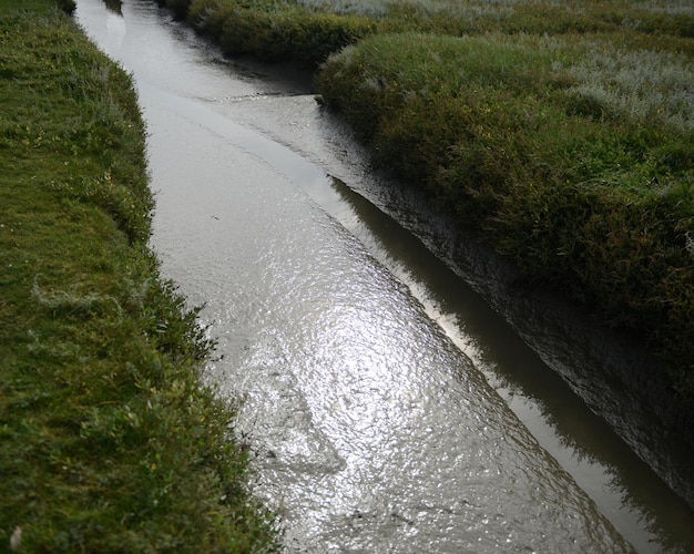 Photo un ruisseau coulant à travers une rivière