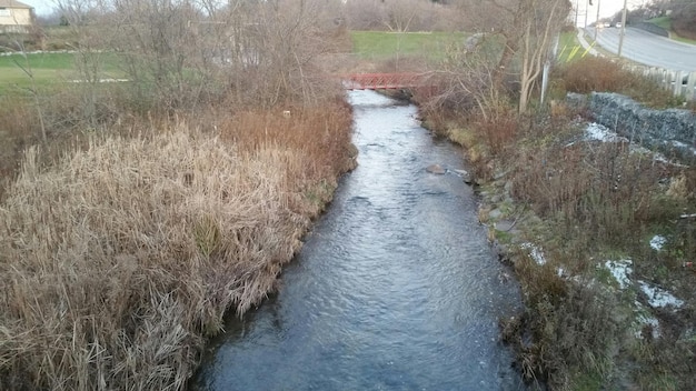 Photo un ruisseau coulant à travers une rivière.