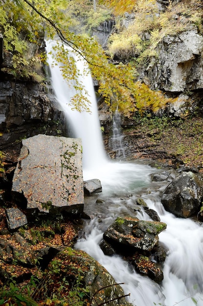 Photo un ruisseau coulant à travers les rochers de la forêt