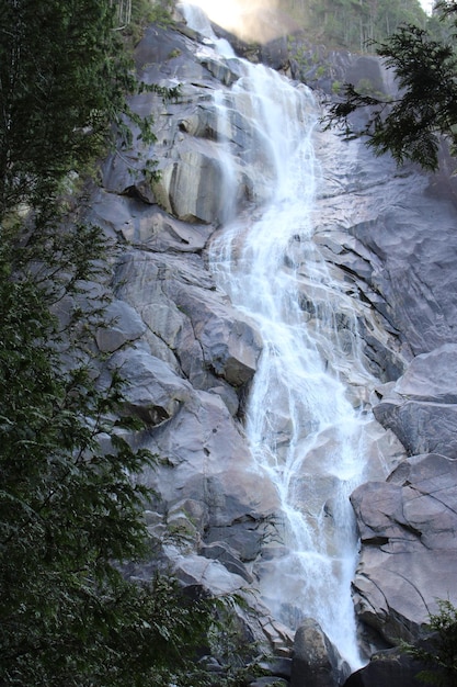 Un ruisseau coulant à travers les rochers de la forêt