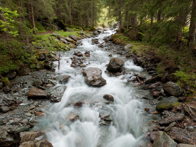 Photo un ruisseau coulant à travers les rochers de la forêt