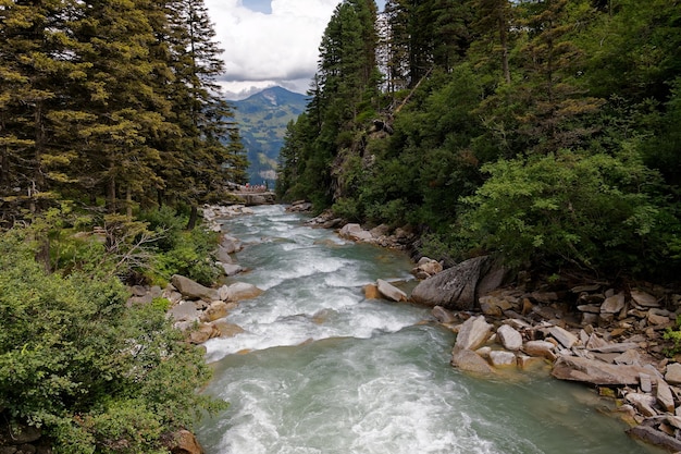 Un ruisseau coulant à travers les rochers de la forêt