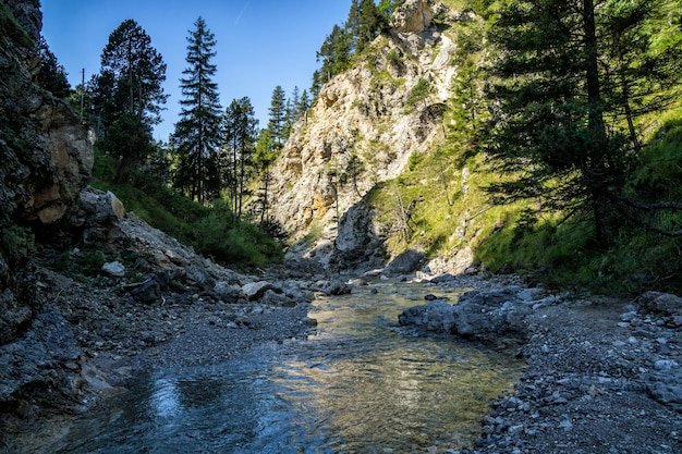 Un ruisseau coulant à travers les rochers de la forêt