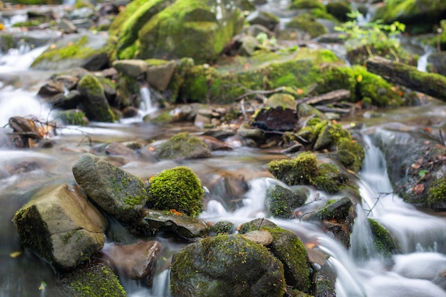 Un ruisseau dans une forêt de montagne coule à travers des cascades de pierres.