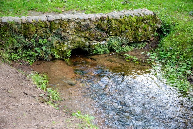 ruisseau dans le parc