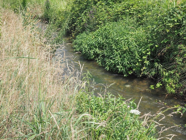 Ruisseau d'eau au milieu de l'herbe